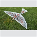Picture of Rubber powered ornithopter